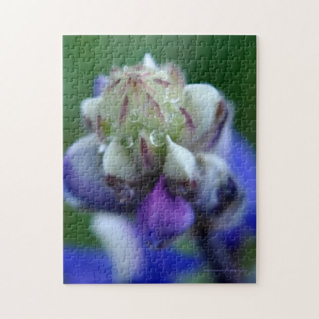 Dew Dappled Lupine (Vertikal)