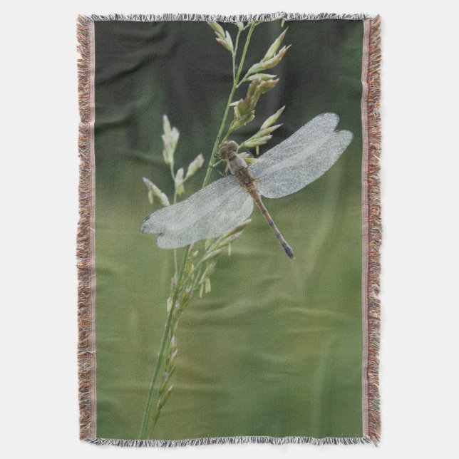Dew deckte Darner Dragonfly Decke (Vorderseite Vertikal)