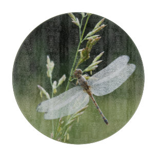 Dew deckte Darner Dragonfly Schneidebrett