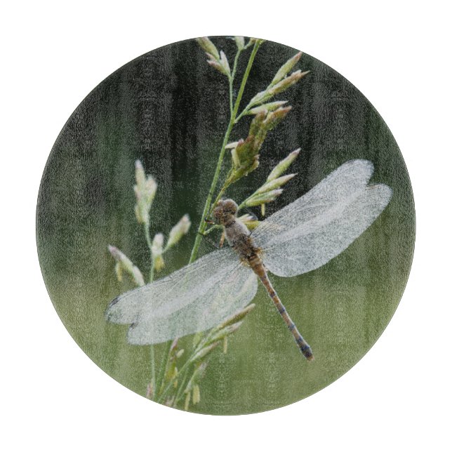 Dew deckte Darner Dragonfly Schneidebrett (Vorderseite)