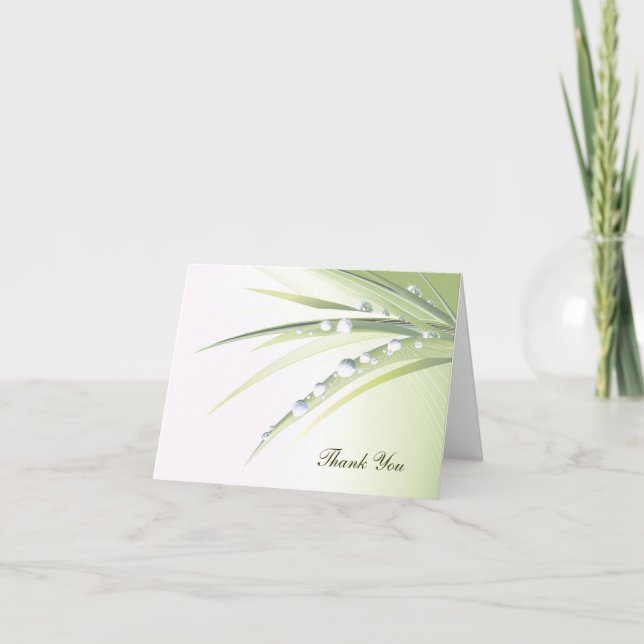 Dew Drop Merci (Devant)