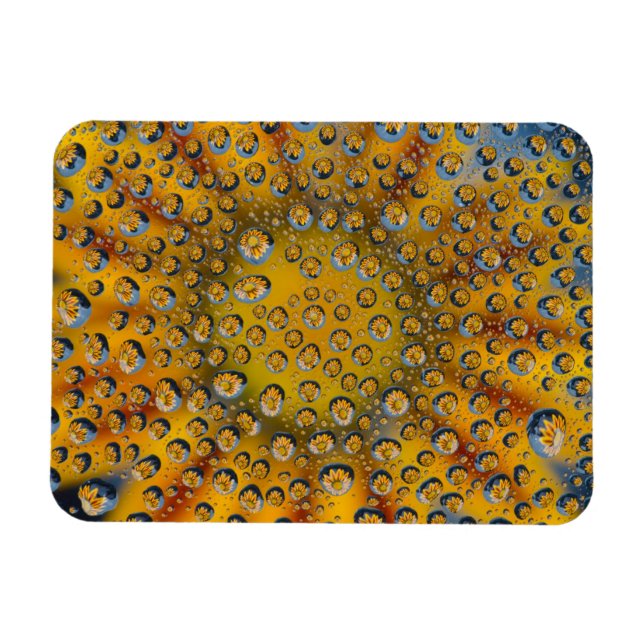 Dew Drop Reflexion der Blume, Crescent City, Magnet (Horizontal)