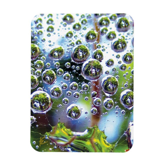 Dew Drops on Spider Web Amazing Nature Magnet (Vertikal)