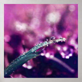 Dew on Purple Pink Leaf Macro Abstract Poster