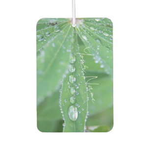 Dewdrop Autolufterfrischer