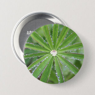 Dewdrop Button