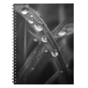 Dewdrop Grass Blade Macro Notebook Notizblock