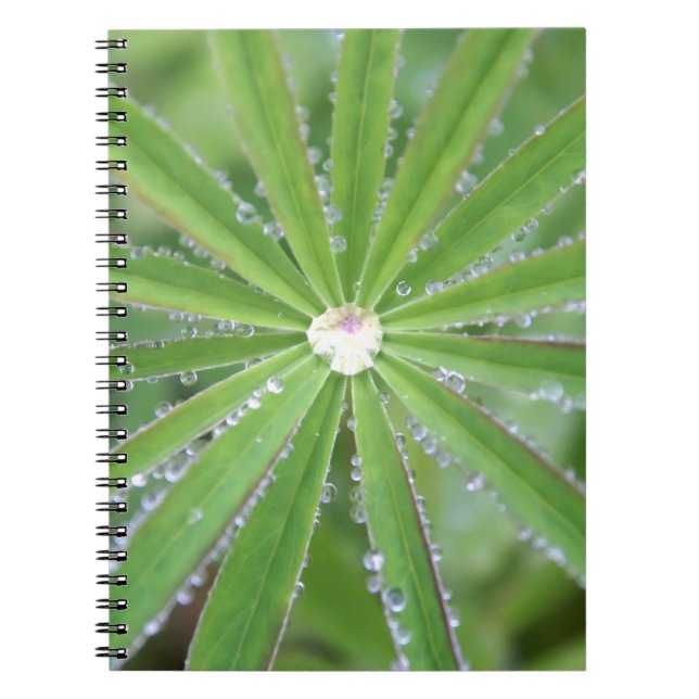 Dewdrop Notizblock (Vorderseite)