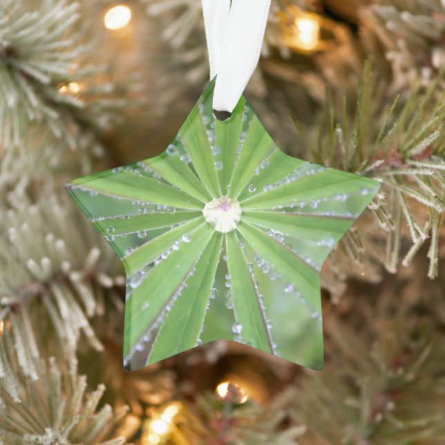 Dewdrop Ornament (Baum)