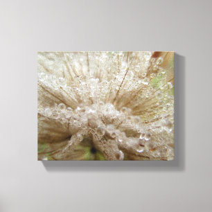 Dewdrop-Samen-Hauch Leinwanddruck