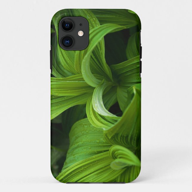 Dewdrops auf einem falschen Helabore Case-Mate iPhone Hülle (Rückseite)