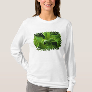 Dewdrops auf einem falschen Helabore T-Shirt