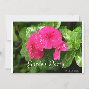 Dewdrops sur les invitations à la fête du jardin d