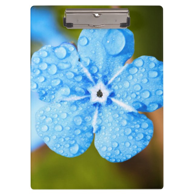 Dewey Blue Blume Klemmbrett (Vorderseite)
