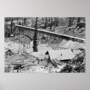 Dewey Gold Mine on Thunder Mountain, Idaho Poster