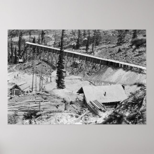 Dewey Gold Mine on Thunder Mountain, Idaho Poster (Vorne)