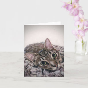 Dewey the cat, leere Notizkarte Karte
