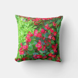 Dewy Begonien Kissen