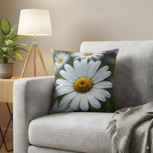 Dewy White Daisy Blume Nah-Up Nature Fotograf