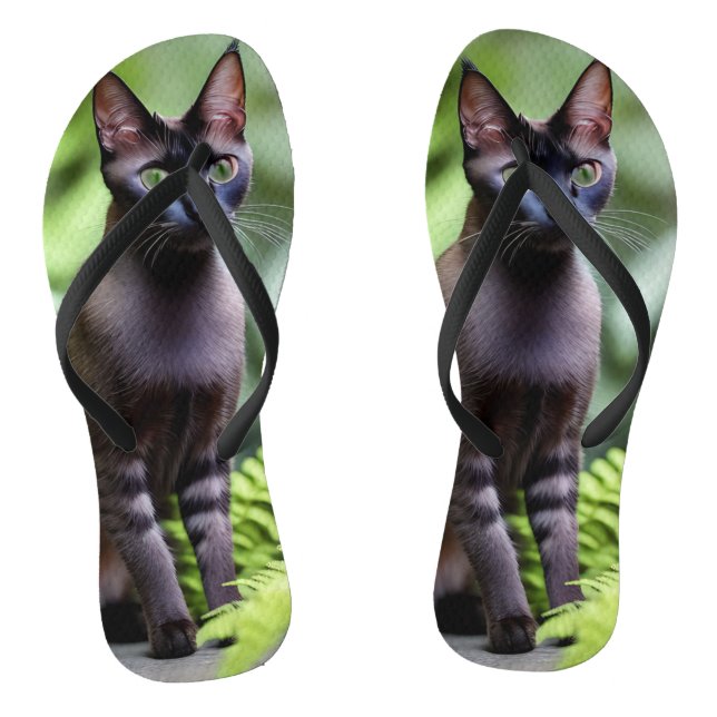 Dexter die schwarze Siamkatze, Flip Flops (Fußbett)