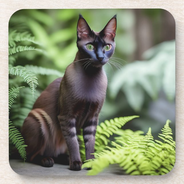 Dexter, die schwarze Siamkatze, Untersetzer (Vorderseite)