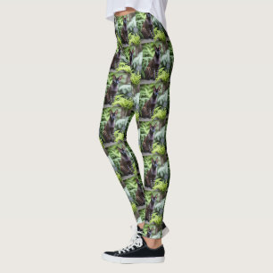 Dexter the Black Siamese Cat, Ladys Leggings