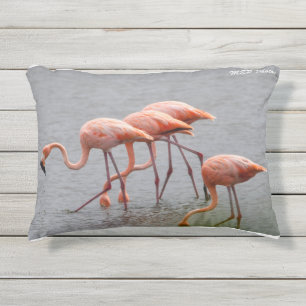 D'extérieur Coussin extérieur Flamant rose et dauphin