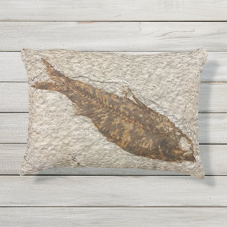 D'extérieur Fossile extérieur de poissons de coussin