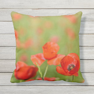D'extérieur Pavots dans un coussin extérieur de champ de pavo
