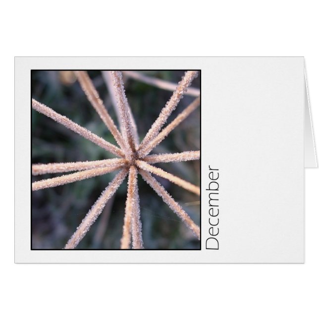 Dezember (Vorderseite (Horizontal))