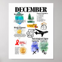 Dezember Fun Facts Poster