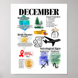 Dezember Fun Facts Poster