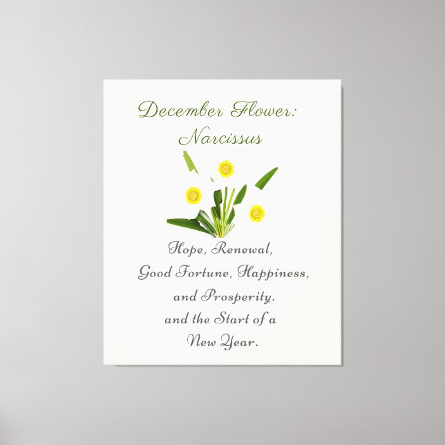 Dezember Geburtsmonat Blume Narcissus Elegante Leinwanddruck (Vorderseite)
