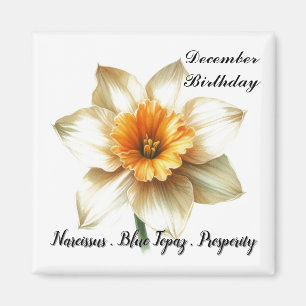Dezember-Geburtsstein-Blumensymbole und Bedeutung Magnet