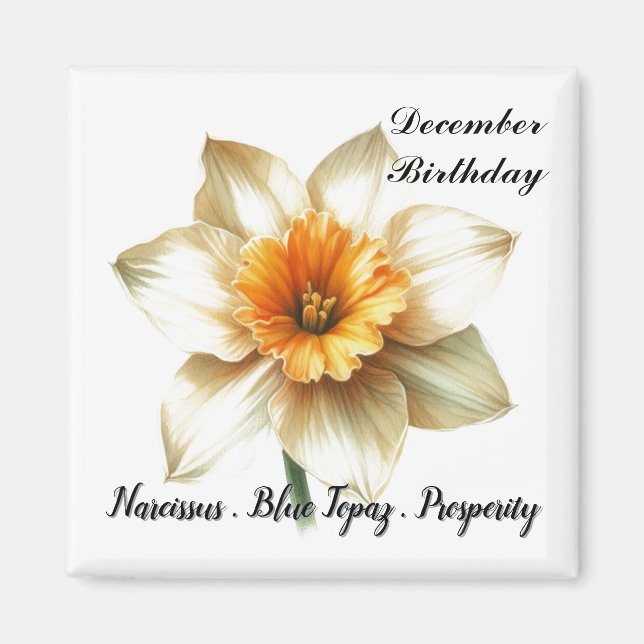 Dezember Geburtsteinzel Blume Symbole und Bedeutun Magnet (Vorne)