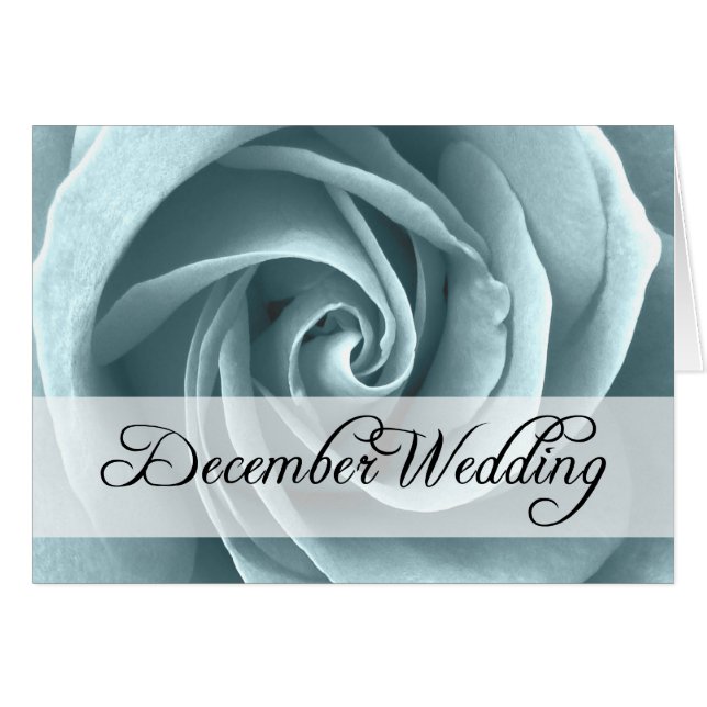 Dezember Hochzeit : Rose der Saison: (Vorderseite (Horizontal))