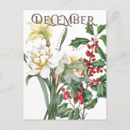 Dezember Monat Blume Narcissus Holly Extravagant Postkarte
