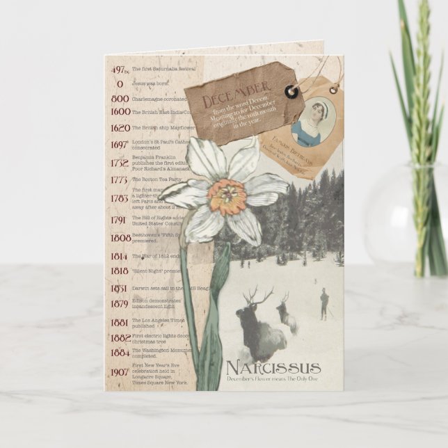 Dezember Narcissus Geburtskarte Karte (Vorderseite)