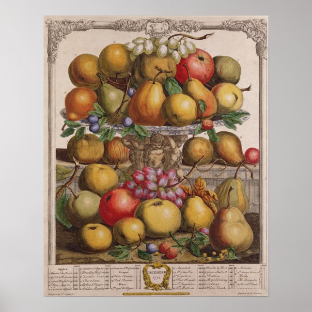 Dezember, "Zwölf Monate Obst" Poster (Vorne)