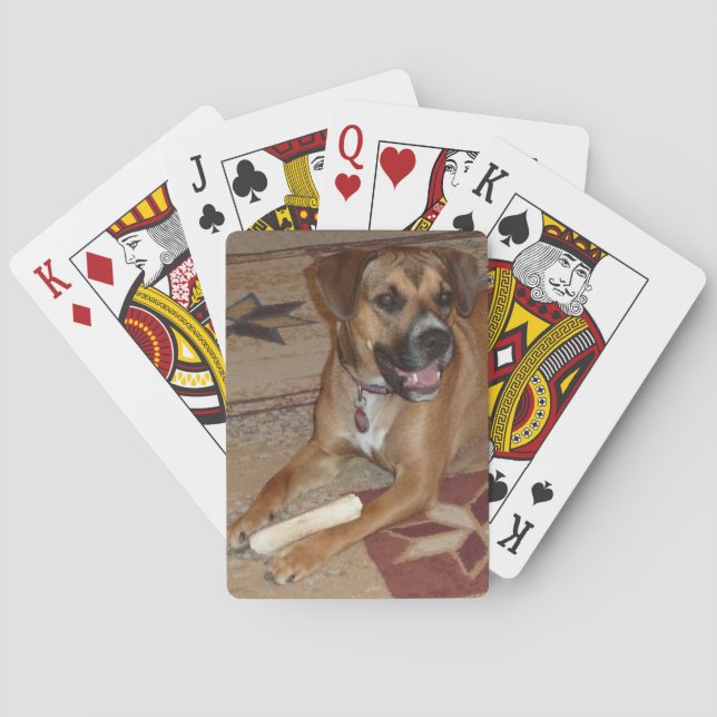 DG- Boxer Mix Playing Cards Spielkarten (Rückseite)