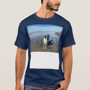 dh in San Diego TShirt 1