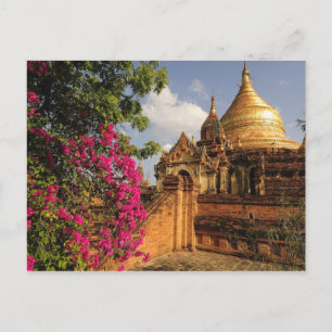 Dhamma Yazaka Pagode in Bagan, Myanmar Postkarte