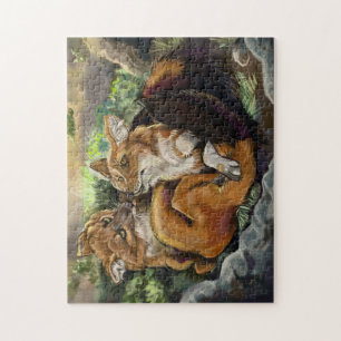 Dhole Cuddle Couple
