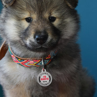 Diabetic Pet Medical Alert Custom Name Gray Black  Haustiermarke