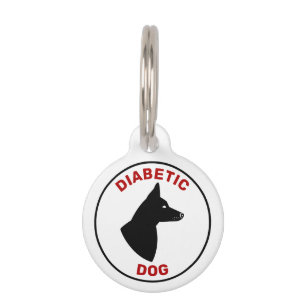 Diabetische Hündin in rotem Text mit W/Hund mit sp Haustiermarke