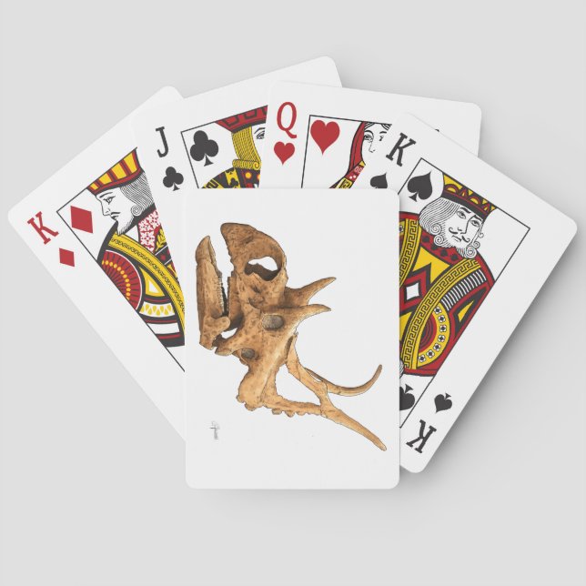 Diabloceratine Spielkarten (Rückseite)
