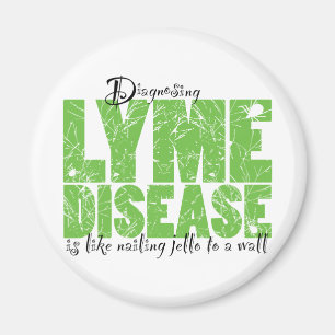 Diagnose der Lyme-Borreliose Magnet
