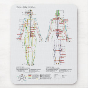 Diagramm der chinesischer oder menschlicher mousepad