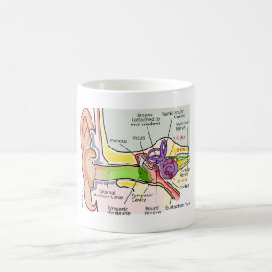 Diagramm der Cochlear-Frequenz des menschlichen Oh Kaffeetasse