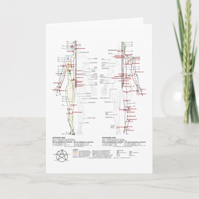 Diagramm der menschlichen Meridianer Karte (Vorderseite)